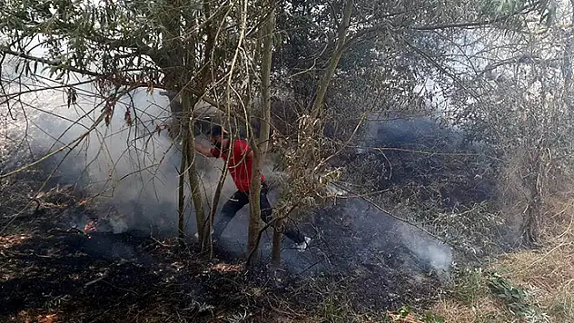 Tekirdağ'da anız yangını ormana ulaşmadan söndürüldü
