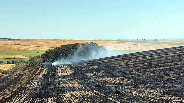 Tekirdağ'da anız yangınında 200 dönüm tarım alanı zarar gördü
