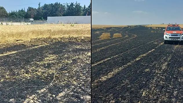Tekirdağ'da buğday ekili tarlada çıkan yangında 15 dönüm alan zarar gördü
