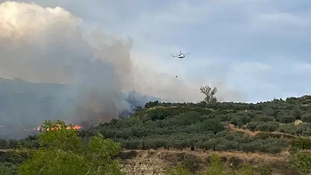 Tekirdağ'da makilik alanda çıkan yangın söndürüldü

