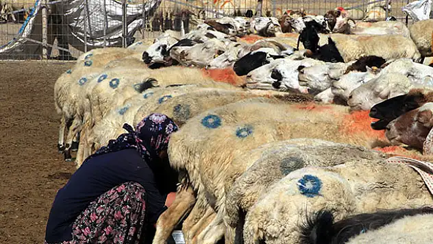 Teknolojiye direnen kadınlar 'koşan' geleneğini sürdürüyor