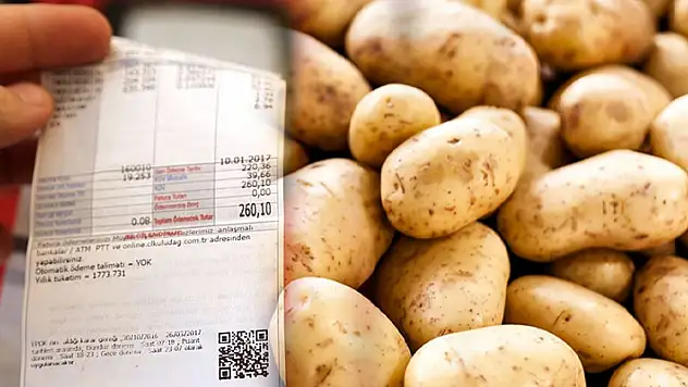 Temmuzda fiyatı en fazla artan ürün 'elektrik', en çok düşen 'patates' oldu
