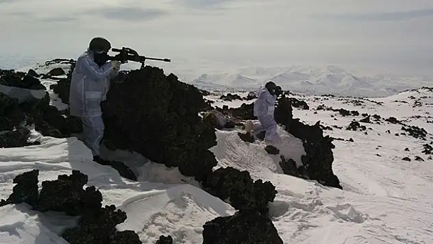 Tendürek Dağı'nda bülücü terör örgütüne büyük darbe