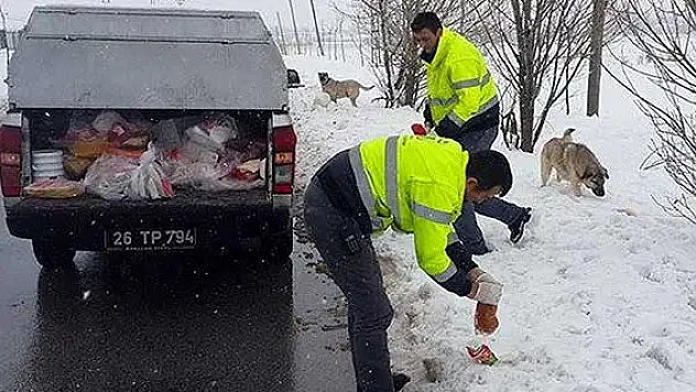 Tepebaşı Belediyesi'nden örnek davranış
