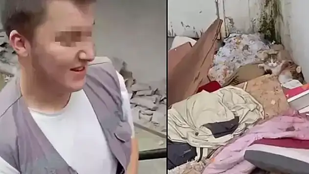 Tepki çeken görüntü! Biri kediye taş attı diğeri o anları kaydetti