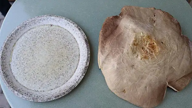 Tepsi büyüklüğündeki içi kızıl mantar görenleri şaşırttı
