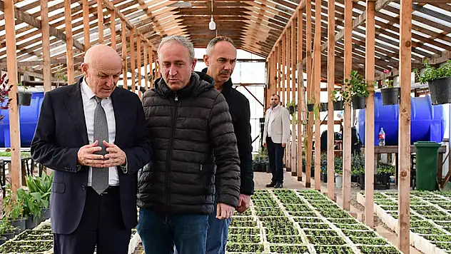 Terme'de mevsimlik çiçekler toprakla buluşmaya hazırlanıyor