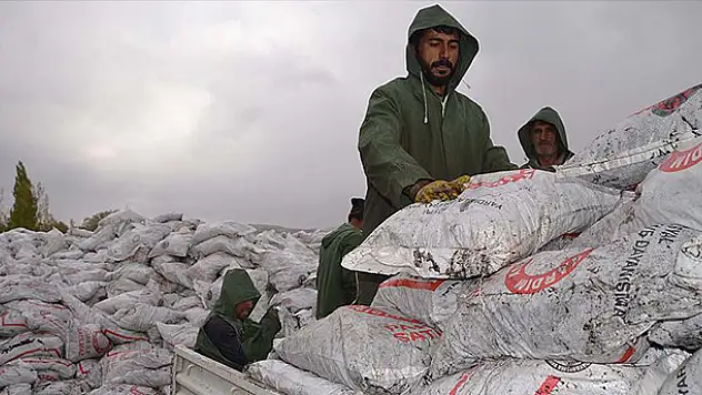 Terör mağdurlarına devlet desteği sürüyor