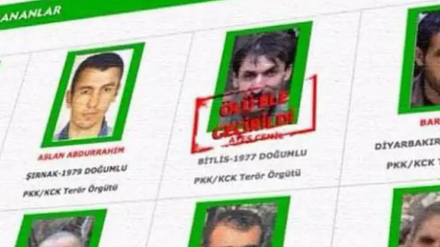 Terörist Cemil Ateş'i bir nine ihbar etti