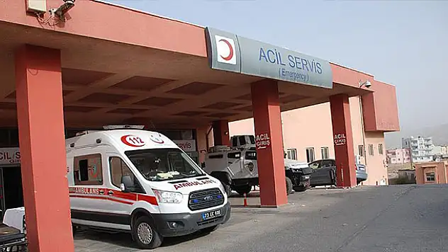 Teröristler 3 aylık bebek ile dedesini öldürdü