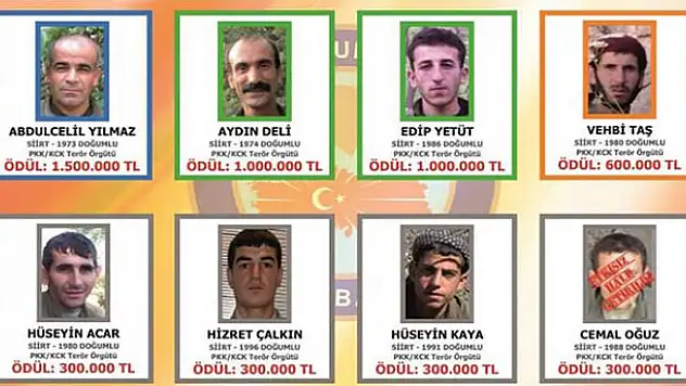 Teröristlerin fotoğrafları billbordlarda