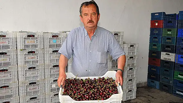 Tescilli Akşehir kirazı yüz güldürmüyor