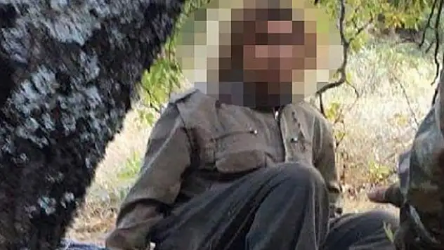 Teslim olan teröristten kan donduran itiraf