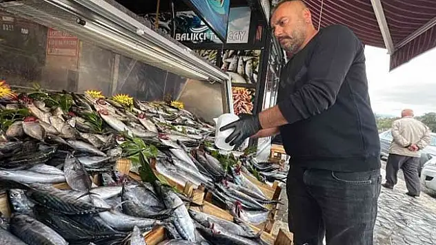 Tezgahlarda Palamut Bolluğu