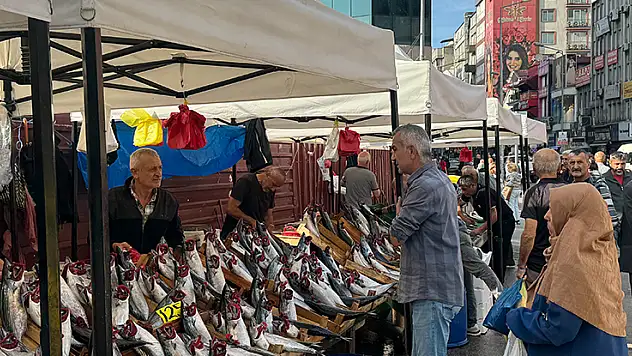 Tezgahların en pahalı balığı mezgit oldu