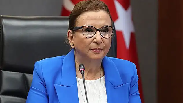 Ticaret Bakanı Pekcan: İkinci el taşıt satışında yeni dönem başladı
