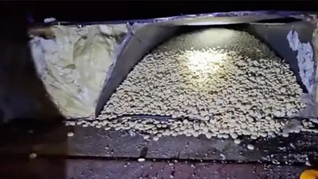 Ticaret Bakanlığı ve MİT operasyonuyla Hatay'da 1,2 ton uyuşturucu hap ele geçirildi
