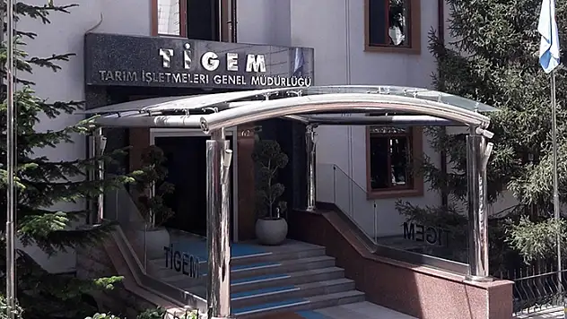 TİGEM 20 bin ton koyun sütü satacak
