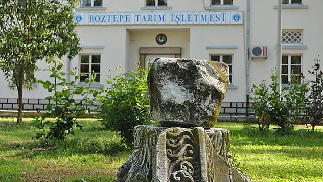 TİGEM Boztepe Tarım İşletmesi narenciye satacak
