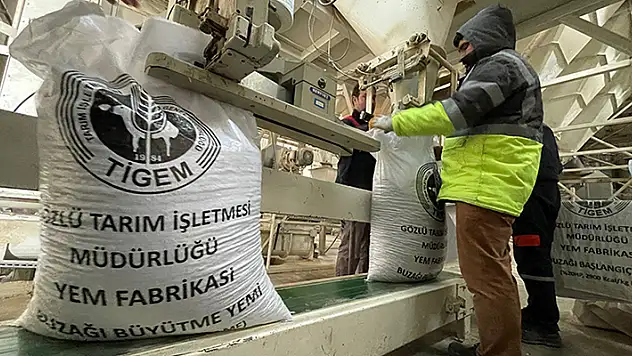 TİGEM'in şampiyon adayı atlarının yemi Konya'da üretiliyor
