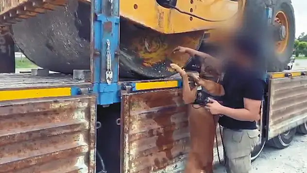 Tır dorsesine yüklü iş makinesine gizlenmiş 77 kilo skunk ele geçirildi
