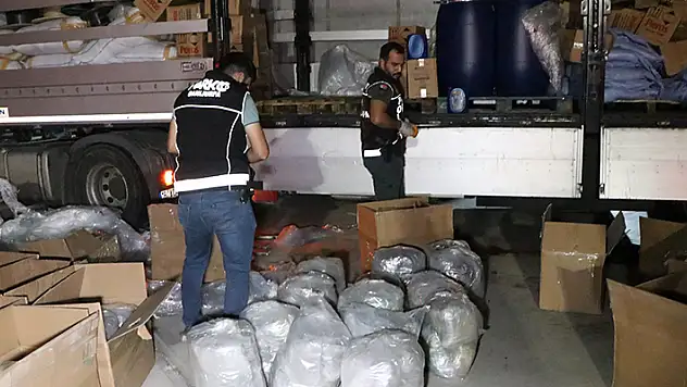 Tırdaki deterjan kutuları arasında 491 kilo skunk ele geçirildi
