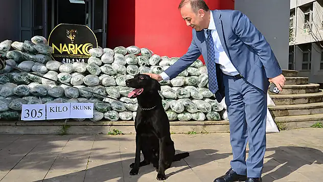 Tırdaki saman balyalarının arasından 305 kilo 'skunk' çıktı
