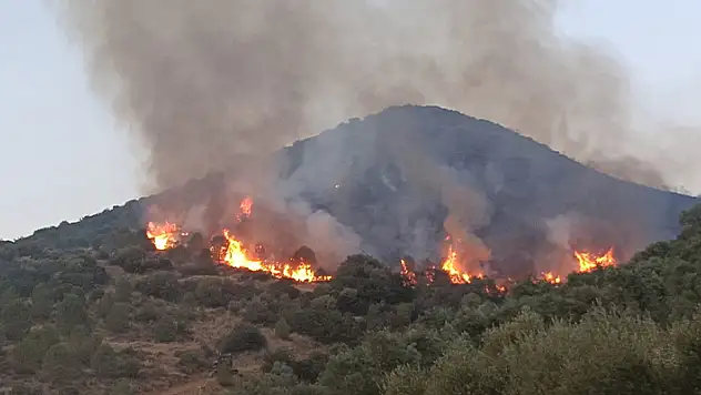 Tire ve Bayındır'da orman yangınları sürüyor
