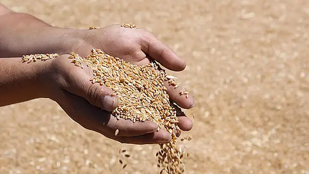 TMO'nun hububat satış fiyatları belirlendi
