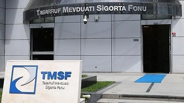TMSF'ye devredilen şirketlerden 94'ünün mülkiyeti Hazine'ye geçti
