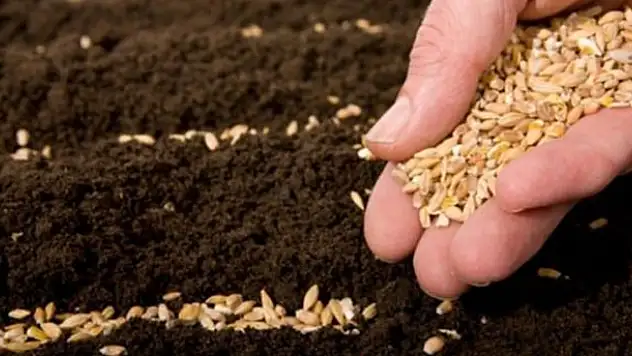 Tohumculardan enflasyonla mücadeleye indirim desteği