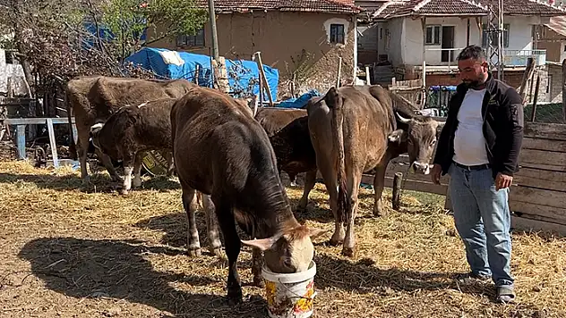 Tokat'ta depremin merkez üssünde su kesintisi çeşmelerden su taşıdılar
