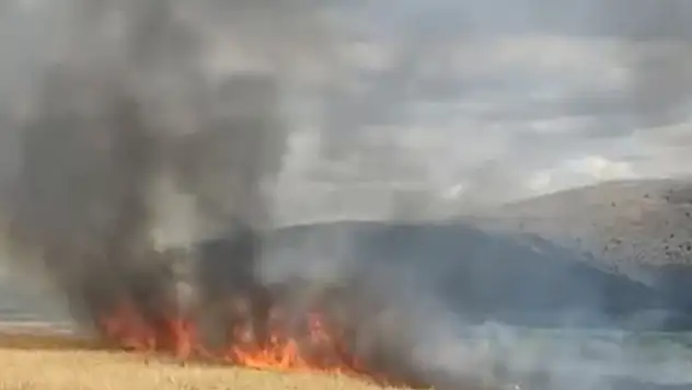 Tokat'ta ekili 10 dönüm buğday yandı
