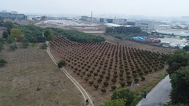 TOKİ Konya'da 17 arsa satacak