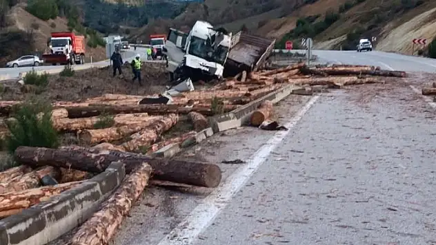 Tomruk yüklü kamyon kaza yaptı: 1 ölü
