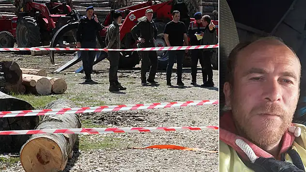 Tonlarca tomruk üzerine devrildi, hastanede hayatını kaybetti