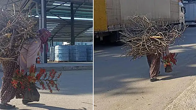 Topladığı odunları sırtında taşıyarak depremzedeler için getirdi
