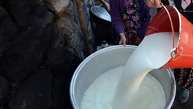 Toplanan inek sütü miktarı mayısta azaldı