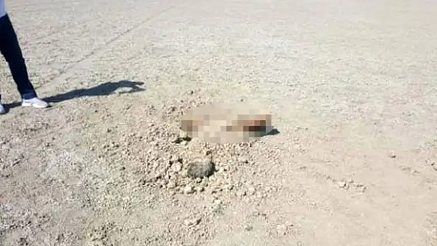 Toprağa gömülü olarak bulunmuştu! Konya'da bulunan erkek cesedinin kimliği belirlendi