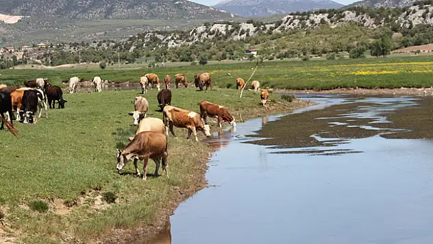 Toroslar'da baharla yeşile bürünen yaylalar bir başka güzel