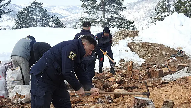 Toroslar'da köylüler ve jandarmanın kırdığı odunlar deprem bölgelerine gönderildi

