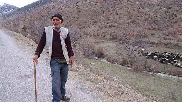 Toroslar'ın 40 yıllık çobanının bitmek bilmeyen meslek aşkı