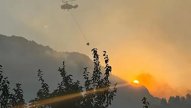 Torpille şaka yaparken 92 hektar ormanı yakana 10 yıla kadar hapis istemi