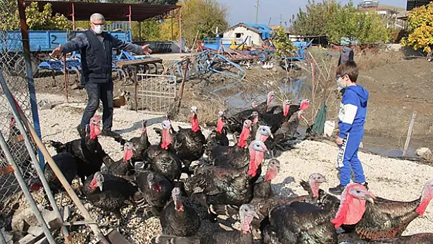 Torunun hindi sevgisi dedeyi üretici yaptı