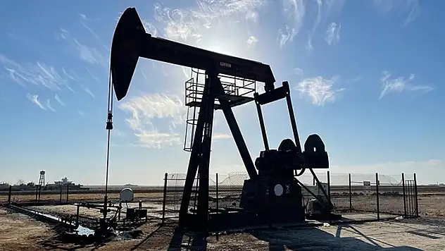 TPAO'nun Kırklareli, Edirne, Diyarbakır, Şanlıurfa'daki petrol işletme ruhsatlarının süreleri uzatıldı
