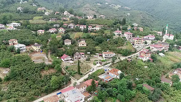Trabzon'da 'bahçe sulama' kavgasında 1 ölü, 2 yaralı


