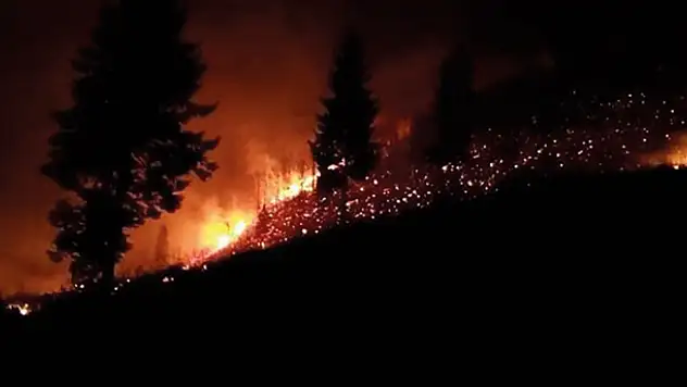 Trabzon ve Giresun'da orman yangınları