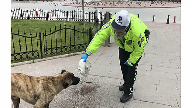 Trafik polisinin davranışı yürekleri ısıttı