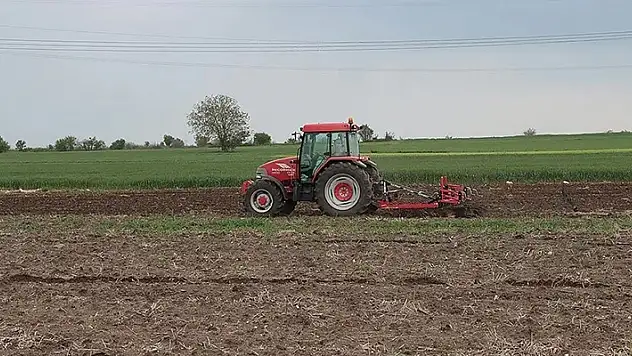 Trakya'da bahar yağışları nedeniyle ara verilen ayçiçeği ekimleri yeniden başladı
