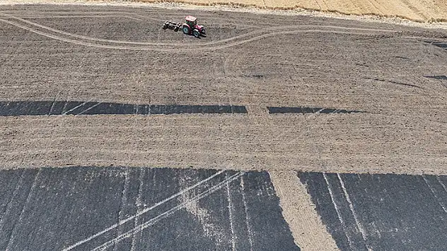 Trakya'da son iki haftadaki yangınlarda 2 bin 750 dekar ekili alan zarar gördü